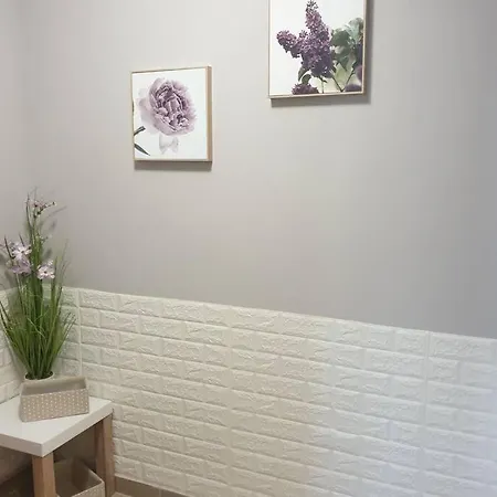 нов луксозен богоров в центъра на града 瓦爾納